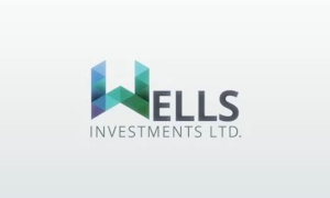 Wells Investments Robot