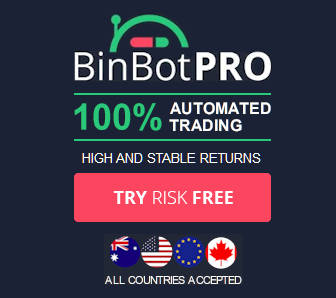 BinBot Pro robot
