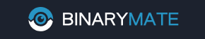 Binary Mate Review